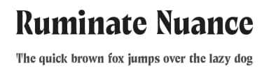 Ruminate Nuance by Variatype — Serif Font — thumbnail 1