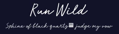 Run Wild by BLKBK Fonts — Script Handwritten Font — thumbnail 2
