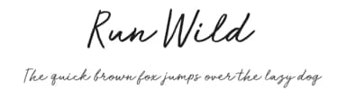 Run Wild by BLKBK Fonts — Script Handwritten Font — thumbnail 1