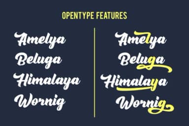 Rushing Nightshade Font by figuree studio — Script Handwritten Font — thumbnail 3