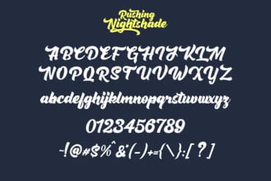 Rushing Nightshade Font by figuree studio — Script Handwritten Font — thumbnail 9