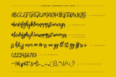Sabrina Font by peterdraw — Script Handwritten Font — thumbnail 8