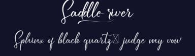 Saddle River by RaisProject — Script Handwritten Font — thumbnail 2