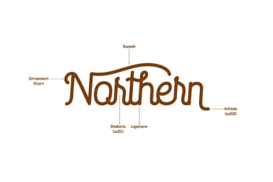 Saffa Font by Viaction Type.Co — Script Handwritten Font — thumbnail 4