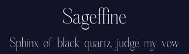 Sageffine by Storytype Studio — Serif Font — thumbnail 2