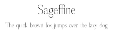 Sageffine by Storytype Studio — Serif Font — thumbnail 1