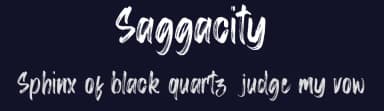 Saggacity by Vz Type — Script Handwritten Font — thumbnail 2