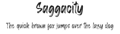 Saggacity by Vz Type — Script Handwritten Font — thumbnail 1
