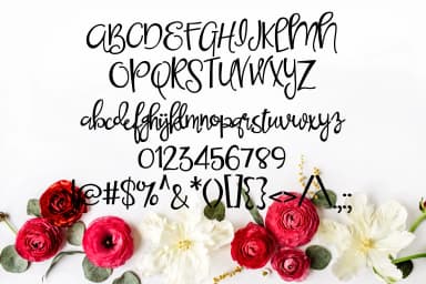 Said No One Font by Illustration Ink — Script Handwritten Font — thumbnail 3