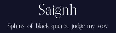 Saignh by Slide Shoot Type — Serif Font — thumbnail 2