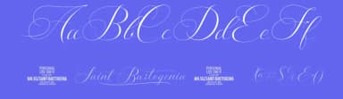 Saint Bartogenia by Måns Grebäck — Script Handwritten Font — thumbnail 3