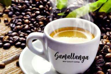 Sakhiya Font by Picatype Studio — Script Handwritten Font — thumbnail 2