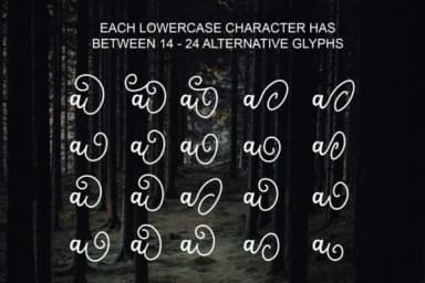 Salahe Font by alphArt — Script Handwritten Font — thumbnail 2