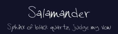 Salamander by Samantha Straw — Script Handwritten Font — thumbnail 2