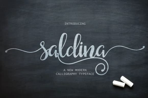 Saldina Font by VanRoem — Script Handwritten Font — preview 1