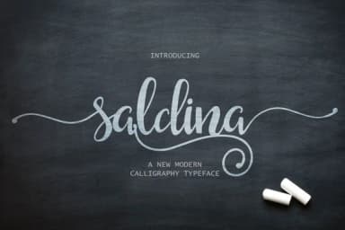 Saldina Font by VanRoem — Script Handwritten Font — thumbnail 1