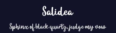Salidea by niyos — Script Handwritten Font — thumbnail 2