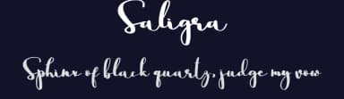 Saligra by Zmapist — Script Handwritten Font — thumbnail 2