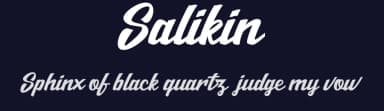 Salikin by Bagas Ardiatma — Script Handwritten Font — thumbnail 2