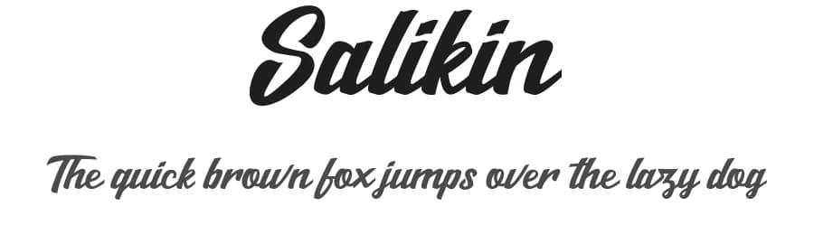 Salikin by Bagas Ardiatma — Script Handwritten Font — preview 1