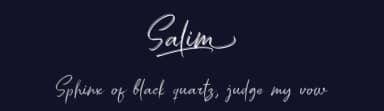 Salim by Omotu Studio — Script Handwritten Font — thumbnail 2