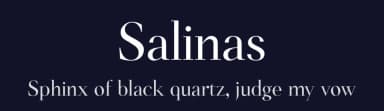 Salinas by Genilson L. Santos — Serif Font — thumbnail 2