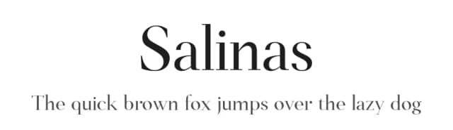 Salinas by Genilson L. Santos — Serif Font