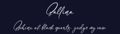 Sallina by Halymunt Studio — Script Handwritten Font — thumbnail 2