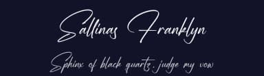 Sallinas Franklyn by Letterena Studios — Script Handwritten Font — thumbnail 2