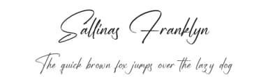 Sallinas Franklyn by Letterena Studios — Script Handwritten Font — thumbnail 1