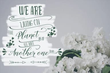 Sally Butter Font by Natural Ink — Script Handwritten Font — thumbnail 5