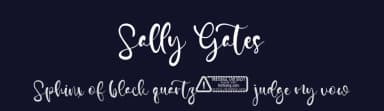 Sally Gates by Kong Font — Script Handwritten Font — thumbnail 2