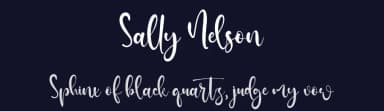 Sally Nelson by Kong Font — Script Handwritten Font — thumbnail 2