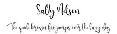 Sally Nelson by Kong Font — Script Handwritten Font — thumbnail 1