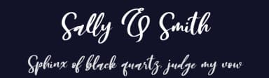Sally & Smith by Letterena Studios — Script Handwritten Font — thumbnail 2