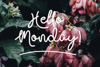 Sallyh Alotah Font by Pineungtype & Missinklab — Script Handwritten Font — thumbnail 3