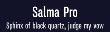 Salma Pro by Alifinart Studio — Sans Serif Font — thumbnail 2