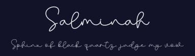 Salminah by Letterafa Studio — Script Handwritten Font — thumbnail 2