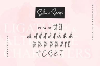 Salmon Font by Emtheen Std. — Script Handwritten Font — thumbnail 9