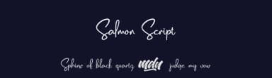 Salmon Script by Emtheen Studio — Script Handwritten Font — thumbnail 2