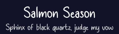 Salmon Season by MJType — Script Handwritten Font — thumbnail 2