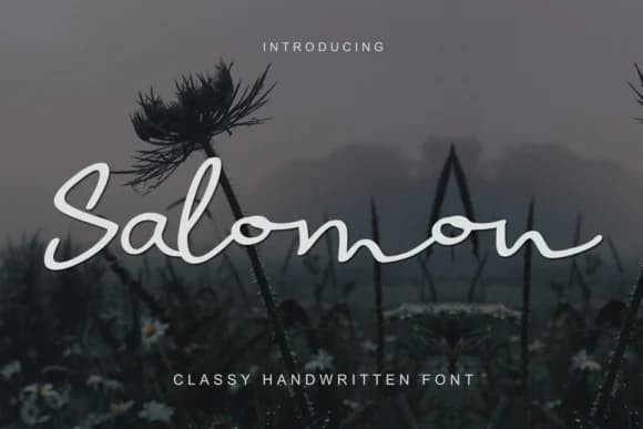 Salomon Font by I Do Not Sleep — Script Handwritten Font