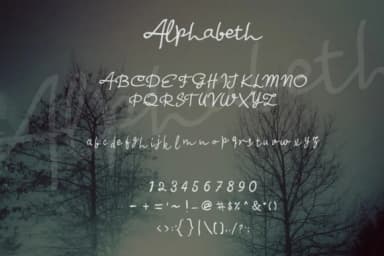 Salomon Font by I Do Not Sleep — Script Handwritten Font — thumbnail 3