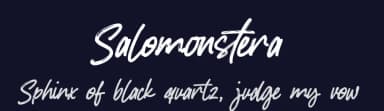 Salomonstera by Gassstype — Script Handwritten Font — thumbnail 2