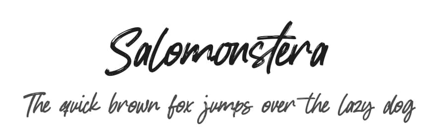 Salomonstera by Gassstype — Script Handwritten Font — preview 1