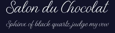 Salon du Chocolat by BlackFridayFont FMF — Script Handwritten Font — thumbnail 2