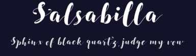 Salsabilla by Linetotype — Script Handwritten Font — thumbnail 2