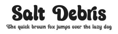 Salt Debris by Din Studio — Script Handwritten Font — thumbnail 1
