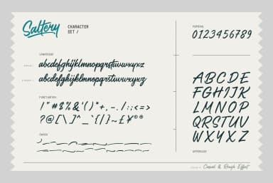 Saltery Font by Pana Type — Script Handwritten Font — thumbnail 2
