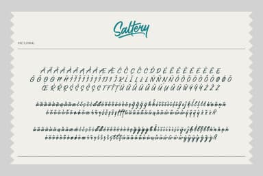 Saltery Font by Pana Type — Script Handwritten Font — thumbnail 4